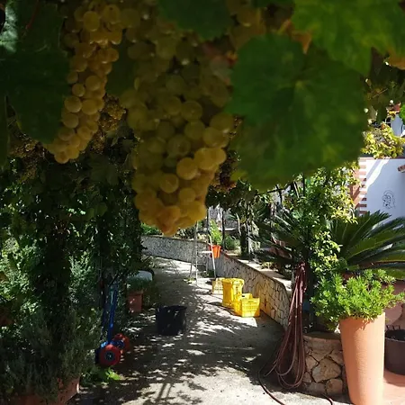 Il Grappolo B&B 아나카프리