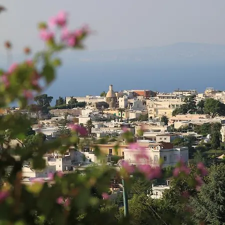 Il Grappolo Bed & Breakfast