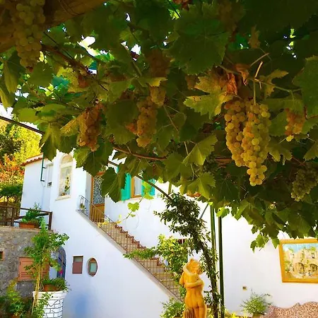 Bed & Breakfast Il Grappolo