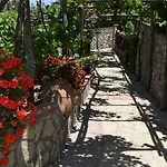 Il Grappolo אנה קאפרי