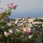 Il Grappolo 3*