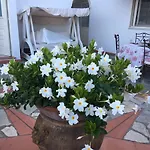Bed & Breakfast Il Grappolo Anacapri (Isola di Capri)