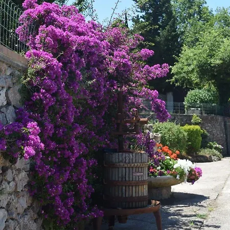 Il Grappolo Oda ve Kahvaltı Anacapri (Isola di Capri)