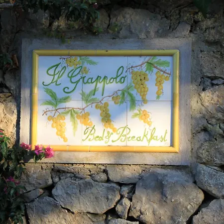 Bed & Breakfast Il Grappolo 3*