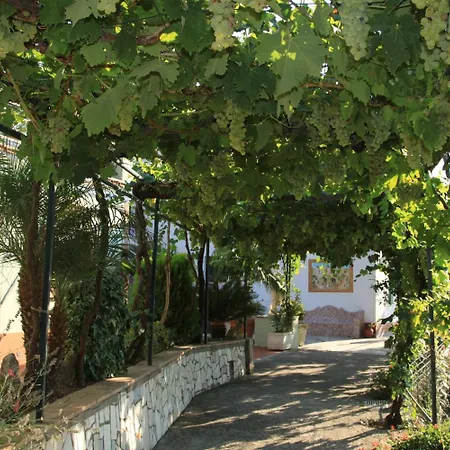 Bed & Breakfast Il Grappolo