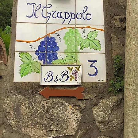 Il Grappolo