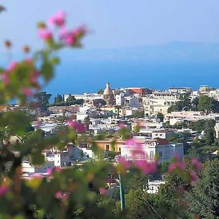 Il Grappolo Bed & Breakfast