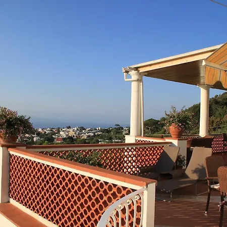 Il Grappolo Anacapri (Isola di Capri)