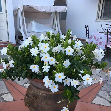 Bed & Breakfast Il Grappolo Anacapri (Isola di Capri)