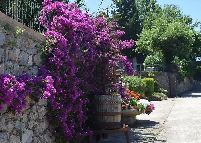 Il Grappolo Panzió Anacapri