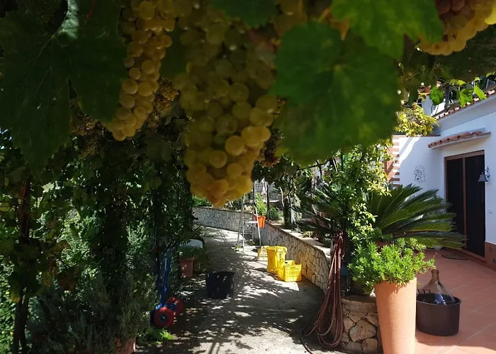 Il Grappolo Panzió Anacapri