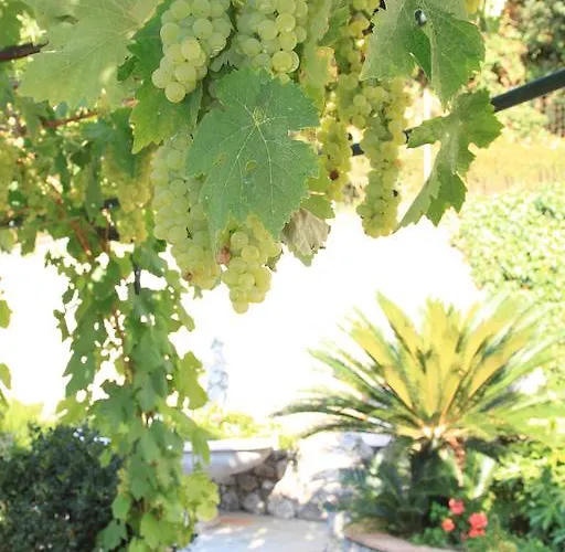 Il Grappolo Anacapri (Isola di Capri)