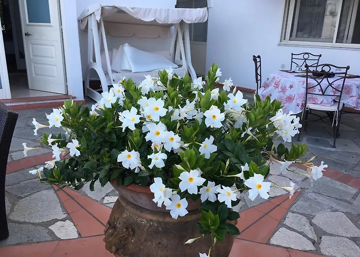 Panzió Il Grappolo Anacapri