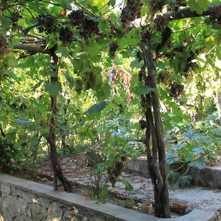 Il格拉珀露住宿加早餐酒店 住宿加早餐酒店