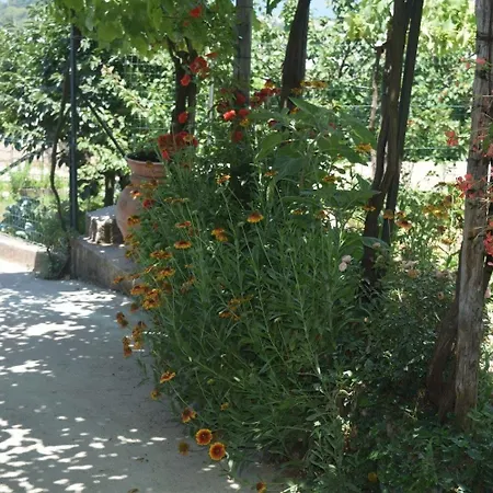 Il格拉珀露住宿加早餐酒店 阿纳卡普里