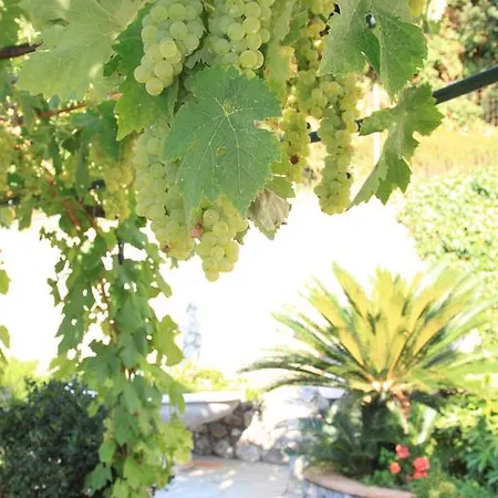 Il格拉珀露住宿加早餐酒店 阿纳卡普里