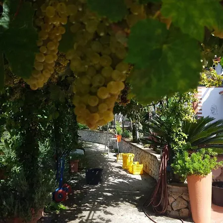 Il格拉珀露住宿加早餐酒店 阿纳卡普里