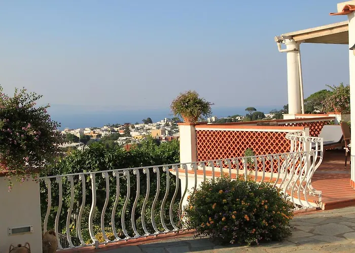 Il Grappolo Anacapri (Isola di Capri)