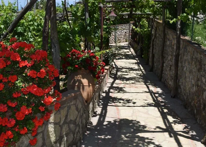 Il Grappolo Anacapri (Isola di Capri)